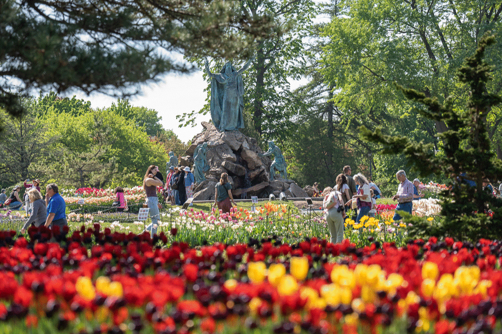 Oregon Tulip Festival 2024 Dates Usa Ronna Chrystel